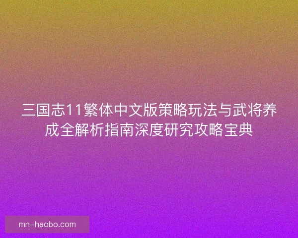 三国志11繁体中文版策略玩法与武将养成全解析指南深度研究攻略宝典